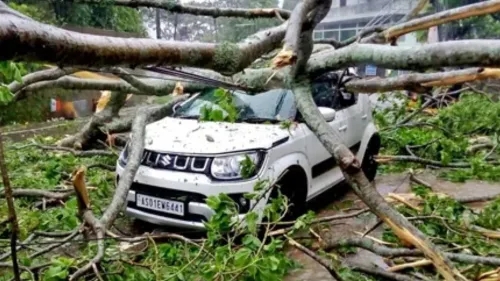 More Than 600 Cars Wrecked as Cyclone Remal Creates Chaos in Kolkata 