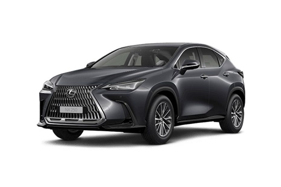 Lexus NX Left Side Front View