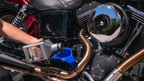 Feast Your Beast: Best Engine Oil For Your Sports Bike