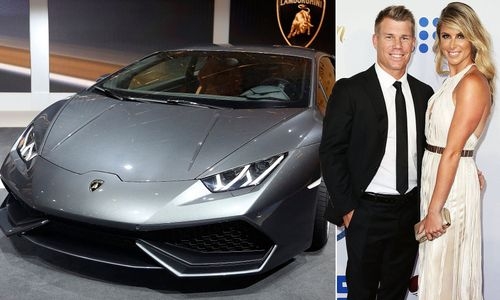 IPL 2023 DC Captain's David Warner's Car Collection Cricket Career, and Net Worth