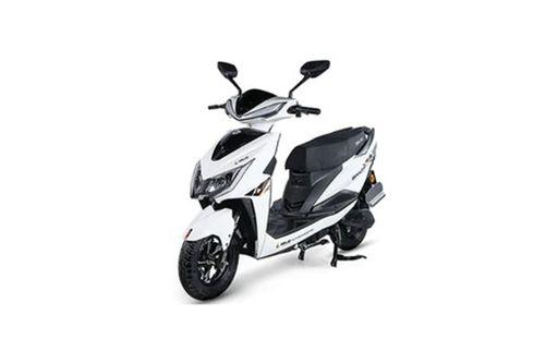 Zelio Gracy scooter scooters